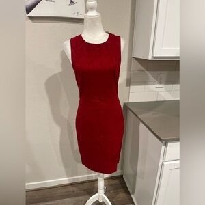 NWT Jaygodfrey sleeveless bodycon career wear dress